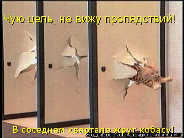 Котоматрица: Чую цель, не вижу препядствий! В соседнем квартале жрут кобасу!