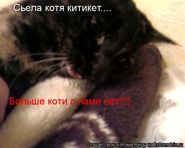 Сьела котя китикет.... Больше коти с нами нет!!!!... Котоматрица: Сьела котя китикет.... Больше коти с нами нет!!!!