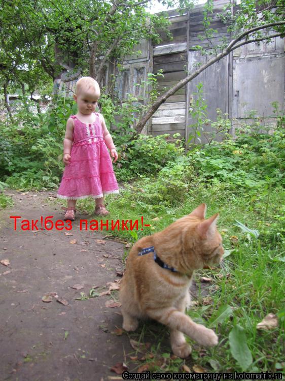 Так!без паники!-... Котоматрица: Так!без паники!-