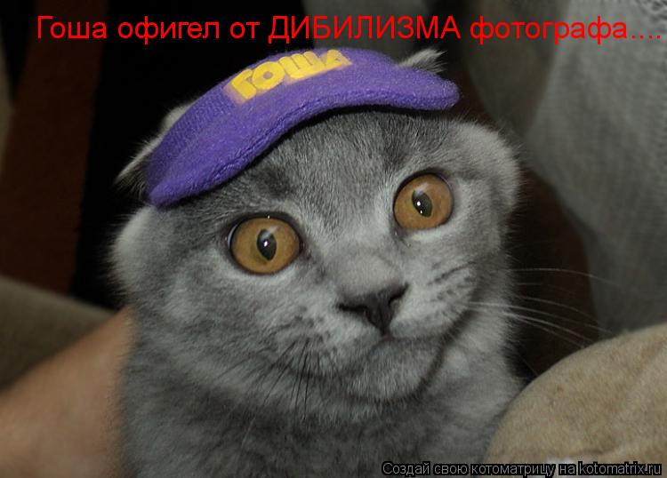 Гоша офигел от ДИБИЛИЗМА фотографа....... Котоматрица: Гоша офигел от ДИБИЛИЗМА фотографа....
