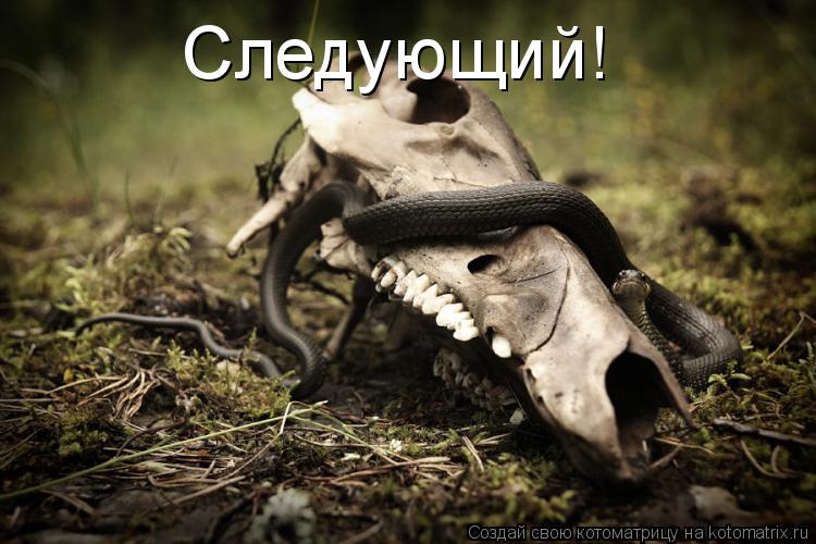Следующий!... Котоматрица: Следующий!
