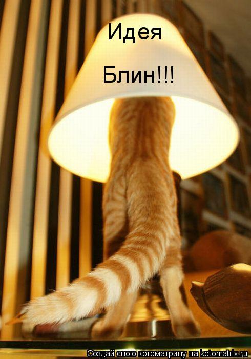 Идея Блин!!!... Котоматрица: Идея Блин!!!