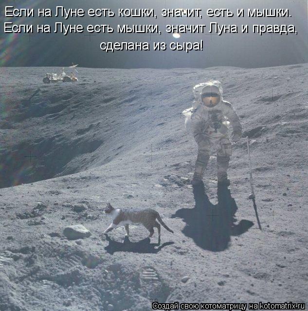 Если на Луне есть кошки, значит, есть и мышки. Если на Луне есть мышки, значит Луна и правда, сделана... Котоматрица: Если на Луне есть кошки, значит, есть и мышки. Если на Луне есть мышки, значит Луна и правда, сделана из сыра!