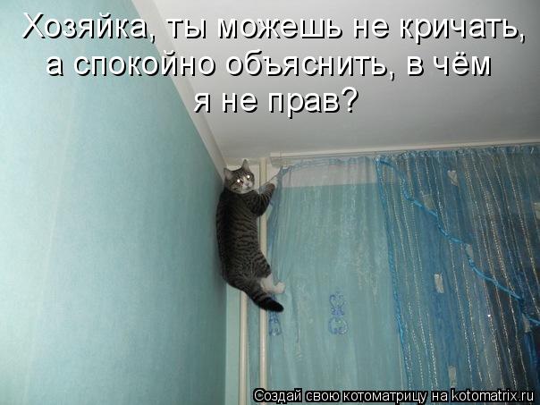 Хозяйка, ты можешь не кричать, а спокойно объяснить, в чём я не прав?... Котоматрица: Хозяйка, ты можешь не кричать, а спокойно объяснить, в чём я не прав?