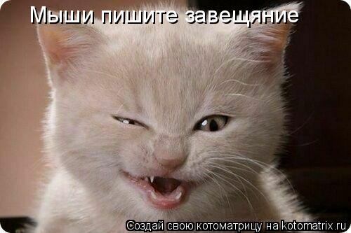 Мыши пишите завещяние... Котоматрица: Мыши пишите завещяние