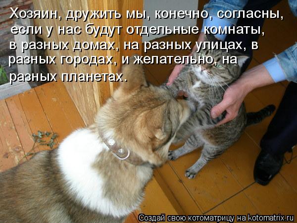 Хозяин, дружить мы, конечно, согласны, если у нас будут отдельные комнаты, в разных домах, на разных ... Котоматрица: Хозяин, дружить мы, конечно, согласны, если у нас будут отдельные комнаты, в разных домах, на разных улицах, в разных городах, и желательно, н