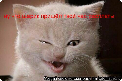 ну что шарик пришёл твой час расплаты... Котоматрица: ну что шарик пришёл твой час расплаты