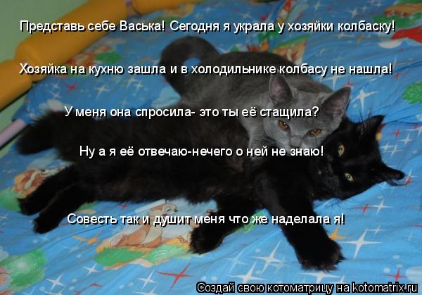 Представь себе Васька! Сегодня я украла у хозяйки колбаску! Хозяйка на кухню зашла и в холодильнике к... Котоматрица: Представь себе Васька! Сегодня я украла у хозяйки колбаску! Хозяйка на кухню зашла и в холодильнике колбасу не нашла! У меня она спросила- эт