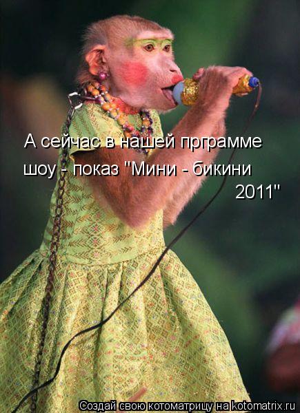 А сейчас в нашей прграмме шоу - показ "Мини - бикини 2011"... Котоматрица: А сейчас в нашей прграмме шоу - показ "Мини - бикини 2011"