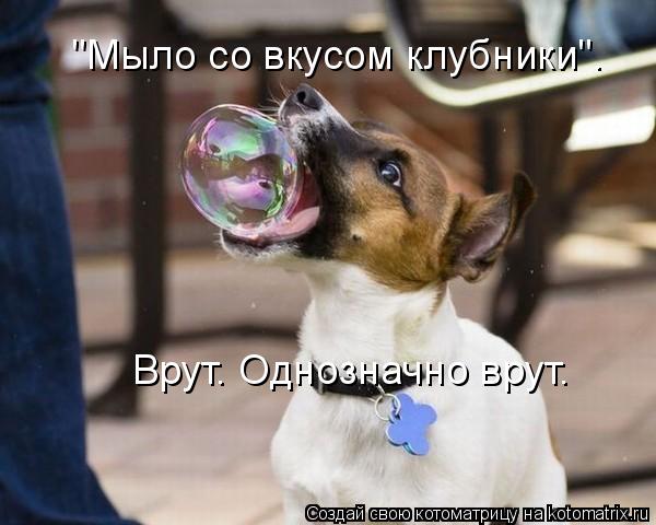 "Мыло со вкусом клубники". Врут. Однозначно врут.... Котоматрица: "Мыло со вкусом клубники". Врут. Однозначно врут.