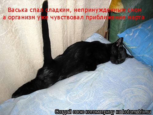 Котоматрица: Васька спал сладким, непринужденным сном а организм уже чувствовал приближение марта