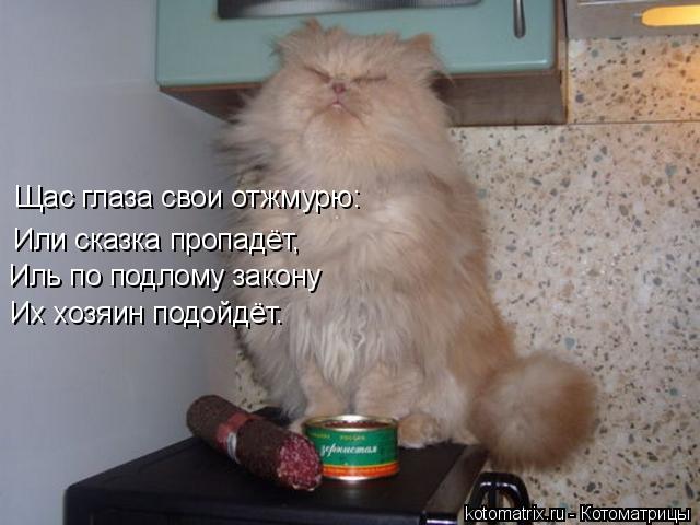 Или сказка пропадёт, Иль по подлому закону Их хозяин подойдёт. Щас глаза свои отжмурю:... Котоматрица: Или сказка пропадёт, Иль по подлому закону Их хозяин подойдёт. Щас глаза свои отжмурю: