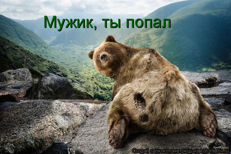 Котоматрица: Мужик, ты попал