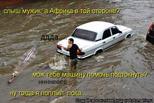 Котоматрица: слыш мужик, а Африка в той стороне? ддда.... мож тебе машину помочь подтокнуть? ннннееее.... ну тогда я поплыл, пока....