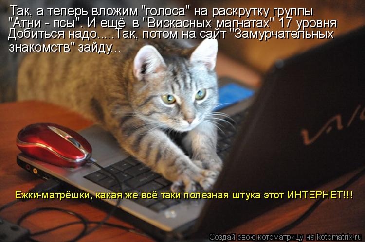 Котоматрица: Так, а теперь вложим "голоса" на раскрутку группы "Атни - псы". И ещё  в "Вискасных магнатах" 17 уровня Добиться надо.....Так, потом на сайт "Замурч