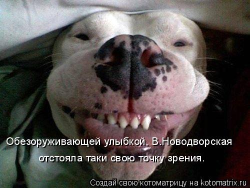 Обезоруживающей улыбкой, В.Новодворская отстояла таки свою точку зрения.... Котоматрица: Обезоруживающей улыбкой, В.Новодворская отстояла таки свою точку зрения.