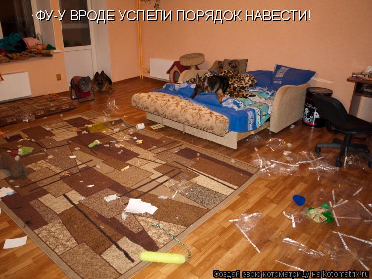 ФУ-У ВРОДЕ УСПЕЛИ ПОРЯДОК НАВЕСТИ!... Котоматрица: ФУ-У ВРОДЕ УСПЕЛИ ПОРЯДОК НАВЕСТИ!