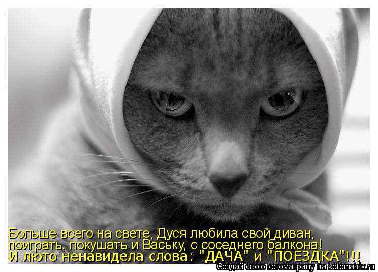 Котоматрица: Больше всего на свете, Дуся любила свой диван, поиграть, покушать и Ваську, с соседнего балкона! И люто ненавидела слова: "ДАЧА" и "ПОЕЗДКА"!!!