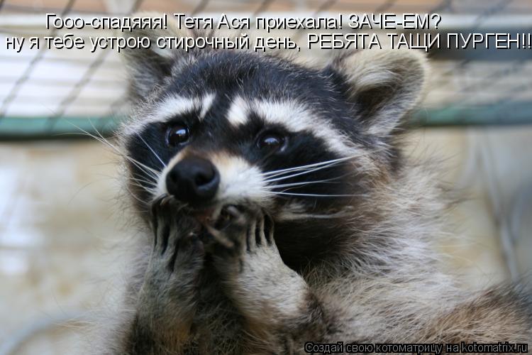 Гооо-спадяяя! Тетя Ася приехала! ЗАЧЕ-ЕМ? ну я тебе устрою стирочный день, РЕБЯТА ТАЩИ ПУРГЕН!!!... Котоматрица: Гооо-спадяяя! Тетя Ася приехала! ЗАЧЕ-ЕМ? ну я тебе устрою стирочный день, РЕБЯТА ТАЩИ ПУРГЕН!!!