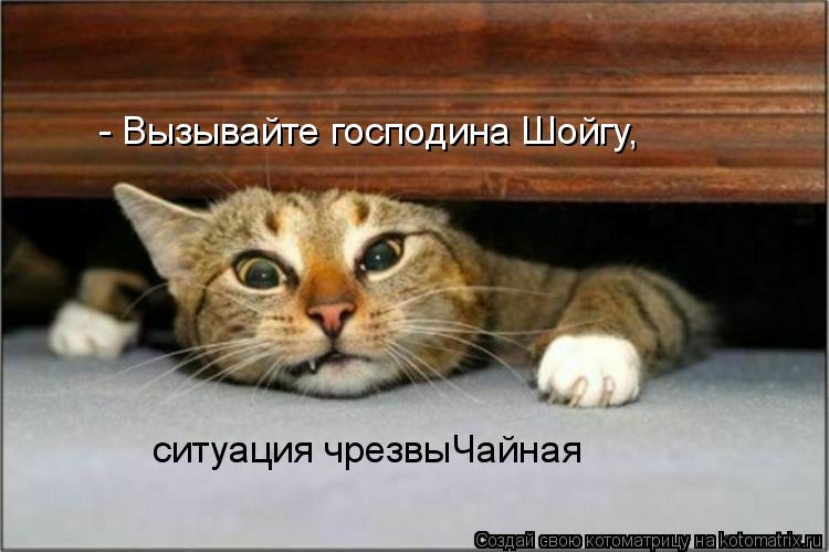 Котоматрица: - Вызывайте господина Шойгу, ситуация чрезвыЧайная