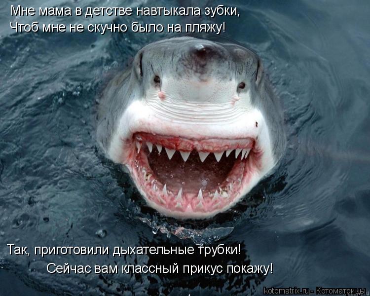 Котоматрица: Мне мама в детстве навтыкала зубки,  Так, приготовили дыхательные трубки!  Чтоб мне не скучно было на пляжу! Сейчас вам классный прикус покаж