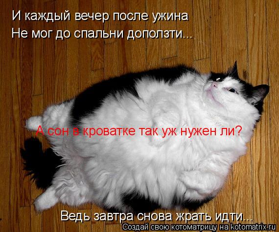 И каждый вечер после ужина Не мог до спальни доползти... Ведь завтра снова жрать идти... А сон в кро... Котоматрица: И каждый вечер после ужина Не мог до спальни доползти... Ведь завтра снова жрать идти... А сон в кроватке так уж нужен ли?