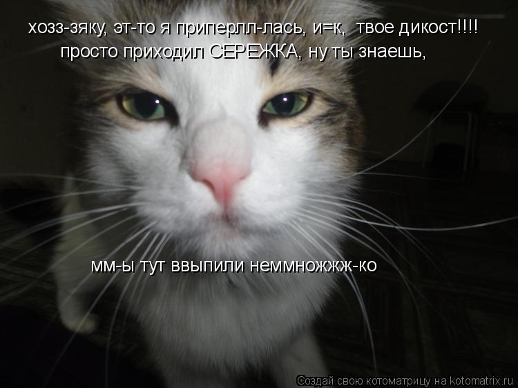 хозз-зяку, эт-то я приперлл-лась, и=к, твое дикост!!!! просто приходил СЕРЕЖКА, ну ты знаешь, мм-ы ... Котоматрица: хозз-зяку, эт-то я приперлл-лась, и=к, твое дикост!!!! просто приходил СЕРЕЖКА, ну ты знаешь, мм-ы тут ввыпили неммножжж-ко
