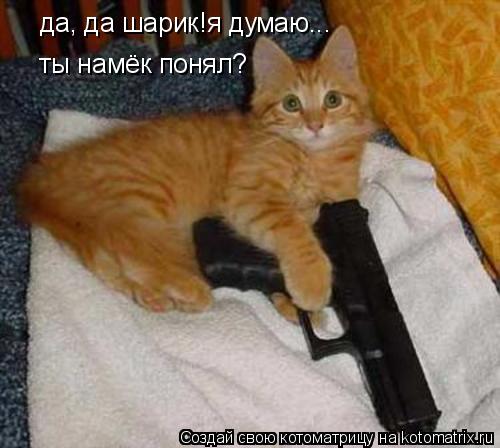 Котоматрица: да, да шарик!я думаю... ты намёк понял?