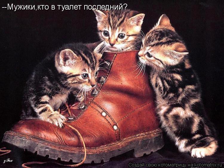 Котоматрица: --Мужики,кто в туалет последний?