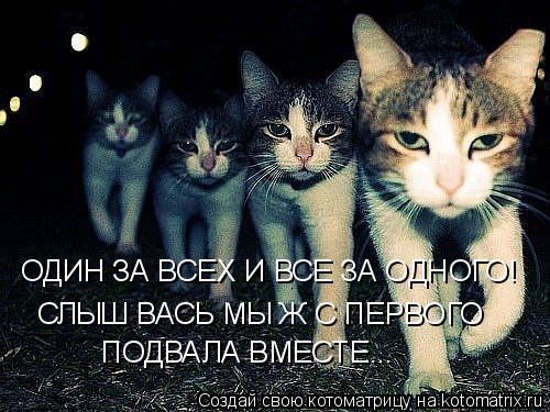 ОДИН ЗА ВСЕХ И ВСЕ ЗА ОДНОГО! СЛЫШ ВАСЬ МЫ Ж С ПЕРВОГО ПОДВАЛА ВМЕСТЕ...... Котоматрица: ОДИН ЗА ВСЕХ И ВСЕ ЗА ОДНОГО! СЛЫШ ВАСЬ МЫ Ж С ПЕРВОГО ПОДВАЛА ВМЕСТЕ...
