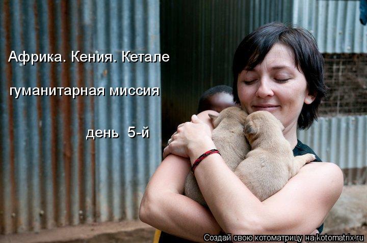 Котоматрица: Африка. Кения. Кетале гуманитарная миссия день  5-й