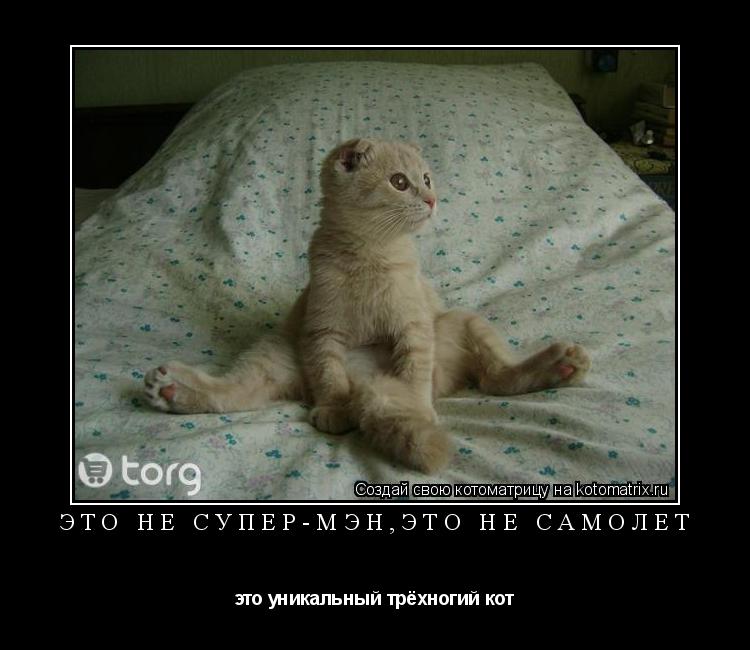это не супер-мэн,это не самолёт это уникальный трёхногий кот... Котоматрица: это не супер-мэн,это не самолёт это уникальный трёхногий кот