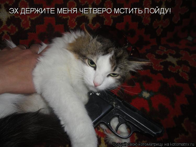 ЭХ ДЕРЖИТЕ МЕНЯ ЧЕТВЕРО МСТИТЬ ПОЙДУ!... Котоматрица: ЭХ ДЕРЖИТЕ МЕНЯ ЧЕТВЕРО МСТИТЬ ПОЙДУ!