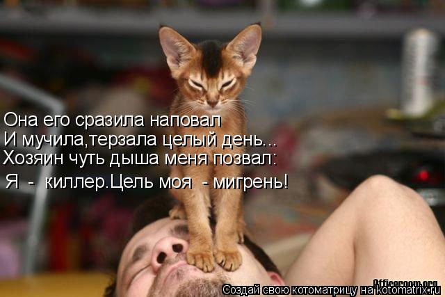 Котоматрица: Она его сразила наповал И мучила,терзала целый день... Хозяин чуть дыша меня позвал: Я  -  киллер.Цель моя  - мигрень!