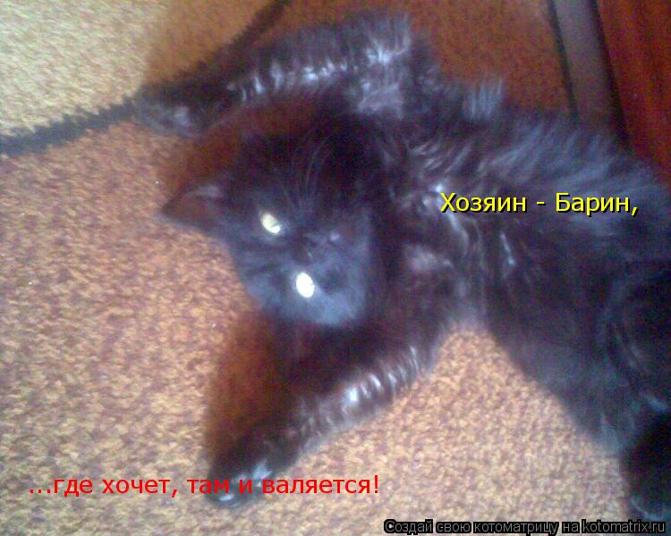 Котоматрица: Хозяин - Барин, ...где хочет, там и валяется!