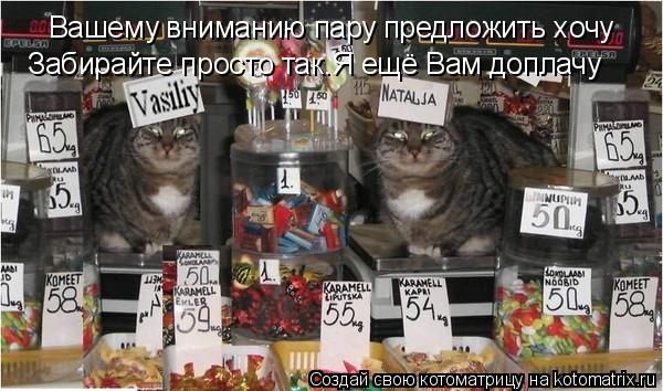 Котоматрица: Вашему вниманию пару предложить хочу  Забирайте просто так.Я ещё Вам доплачу