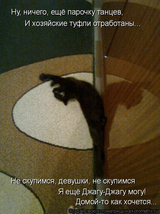 Котоматрица: Ну, ничего, ещё парочку танцев, И хозяйские туфли отработаны... Не скупимся, девушки, не скупимся Я ещё Джагу-Джагу могу! Домой-то как хочется..