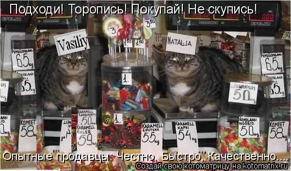 Котоматрица: Подходи! Торопись! Покупай! Не скупись! Опытные продавцы: Честно, Быстро, Качественно....