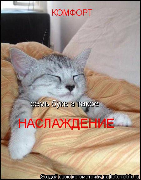 КОМФОРТ семь букв а какое НАСЛАЖДЕНИЕ... Котоматрица: КОМФОРТ семь букв а какое НАСЛАЖДЕНИЕ
