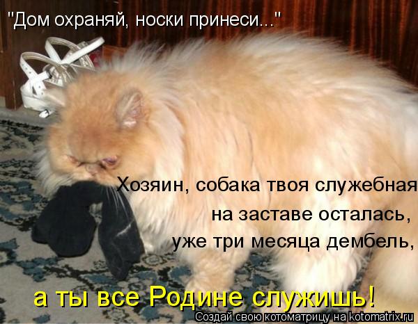 Котоматрица: "Дом охраняй, носки принеси..." на заставе осталась,  уже три месяца дембель,  а ты все Родине служишь! Хозяин, собака твоя служебная