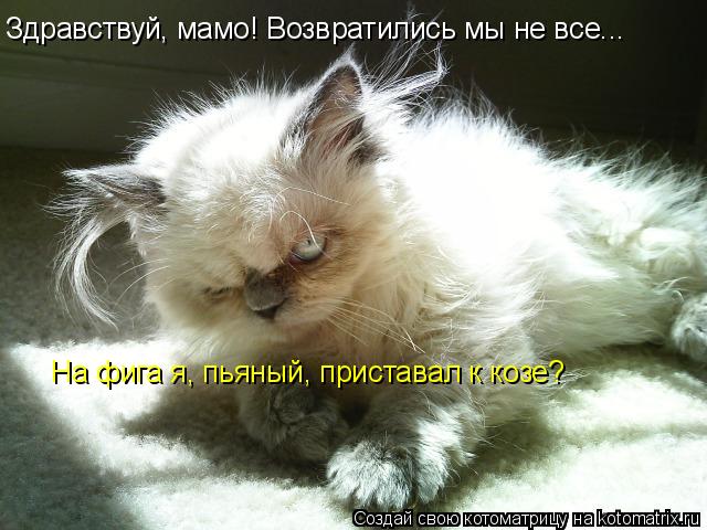 Котоматрица: Здравствуй, мамо! Возвратились мы не все... На фига я, пьяный, приставал к козе?