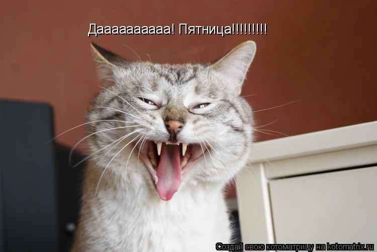 Котоматрица: Даааааааааа! Пятница!!!!!!!!!