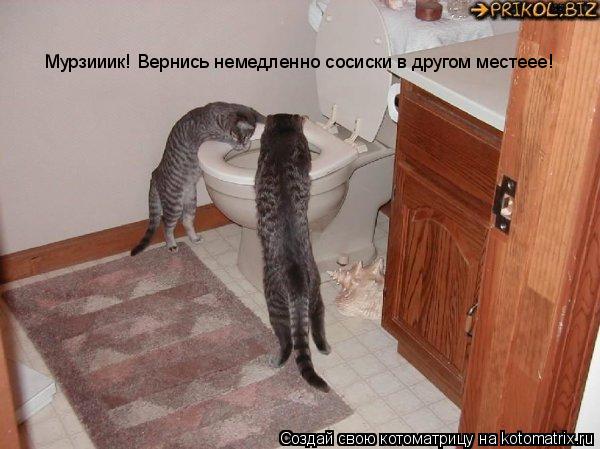 Котоматрица: Мурзииик! Вернись немедленно сосиски в другом местеее!
