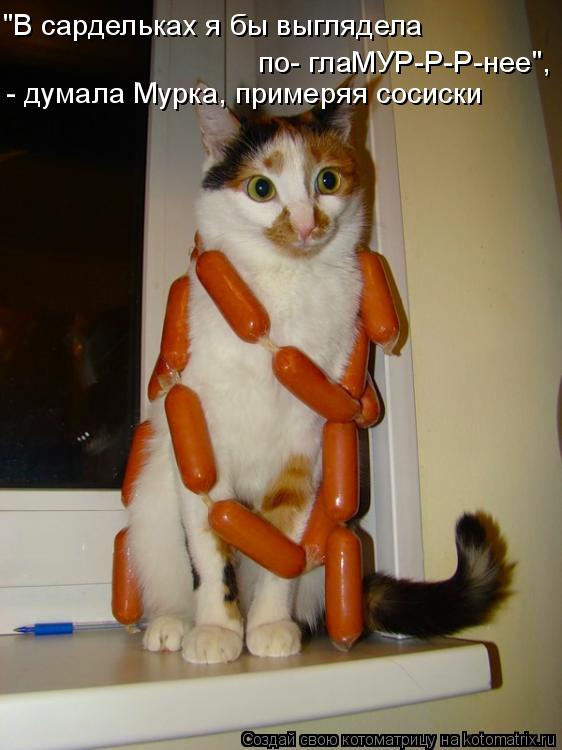 "В сардельках я бы выглядела по- глаМУР-Р-Р-нее", - думала Мурка, примеряя сосиски... Котоматрица: "В сардельках я бы выглядела по- глаМУР-Р-Р-нее", - думала Мурка, примеряя сосиски