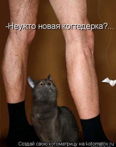 Котоматрица: -Неужто новая когтедерка?...