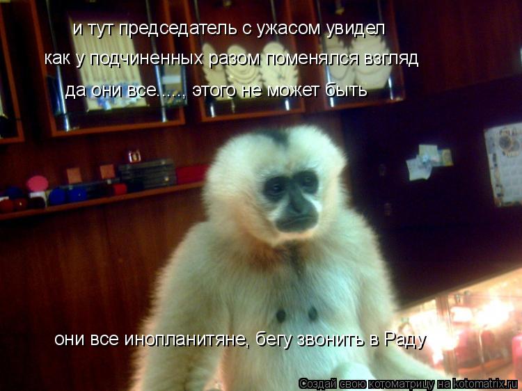 Котоматрица: и тут председатель с ужасом увидел как у подчиненных разом поменялся взгляд да они все....., этого не может быть они все инопланитяне, бегу зв