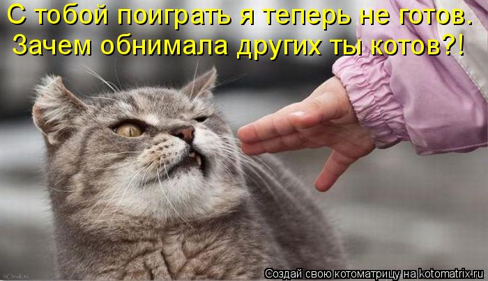 С тобой поиграть я теперь не готов. Зачем обнимала других ты котов?!... Котоматрица: С тобой поиграть я теперь не готов. Зачем обнимала других ты котов?!