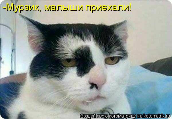 Котоматрица: -Мурзик, малыши приехали!