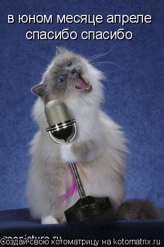 Котоматрица: в юном месяце апреле спасибо спасибо
