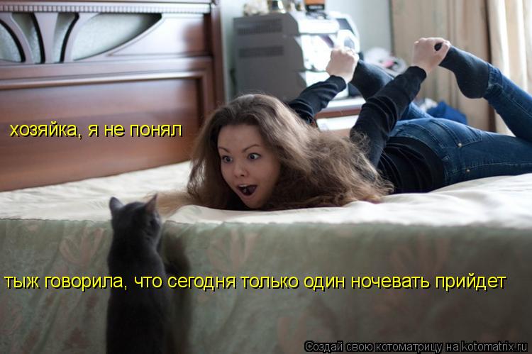 Котоматрица: хозяйка, я не понял тыж говорила, что сегодня только один ночевать прийдет